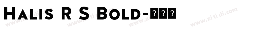 Halis R S Bold字体转换